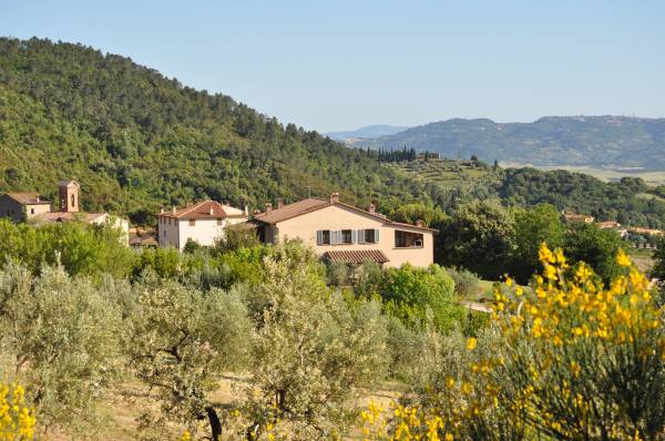 Holiday House in Tuscany