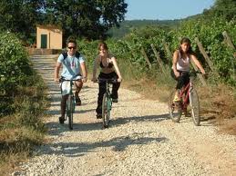 Mountain Bike tours next the vineyard