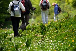 Trekking nella campagna Toscana